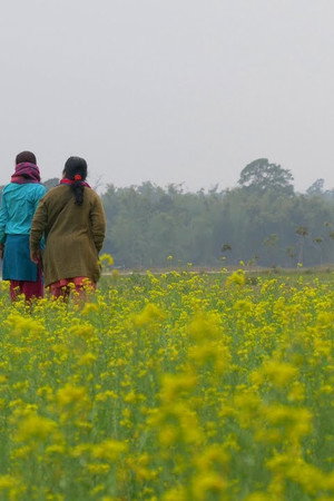 Sainoko Katha