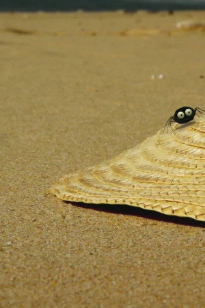 Summer hat