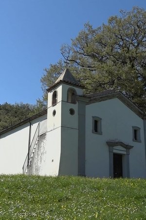 20. epizoda