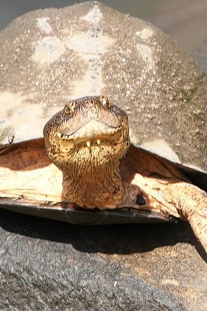 10. epizoda