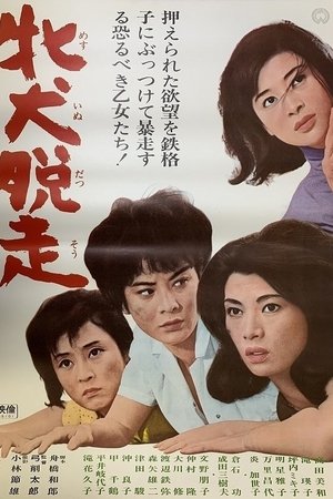 牝犬脱走