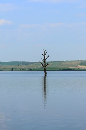 Ztracený břeh