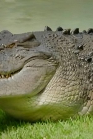 7. epizoda