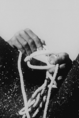 Through the Eyes of a Painter