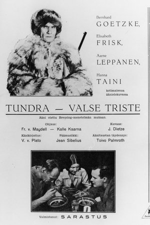 Erämaan turvissa