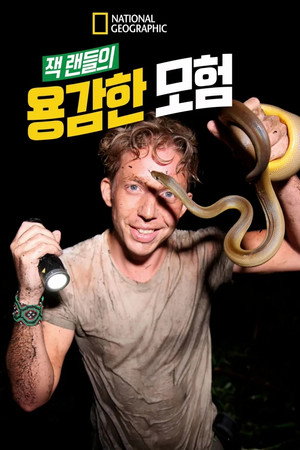 잭 랜들의 용감한 모험