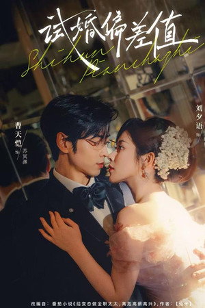 试婚偏差值