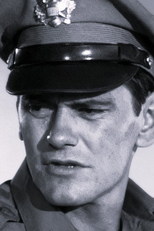 What a Shining Young Man Was Our Gallant Lieutenant