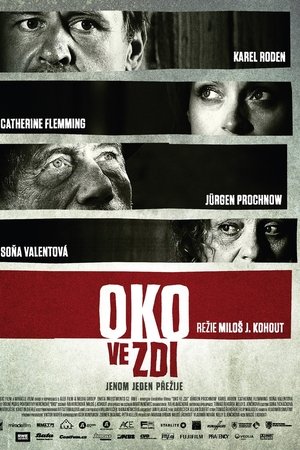 Oko ve zdi