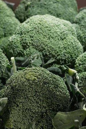 Broccoli