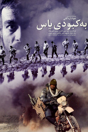 به کبودی یاس