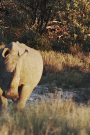 5. epizoda
