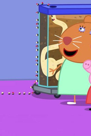 Dr Hamster’s Ant Farm