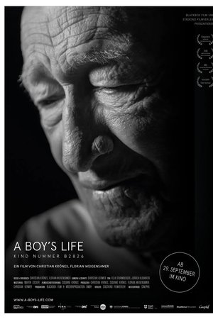 A Boy's Life