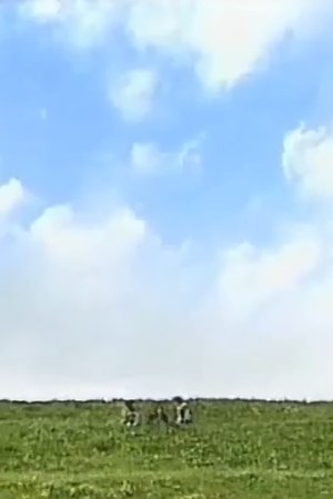 50. epizoda