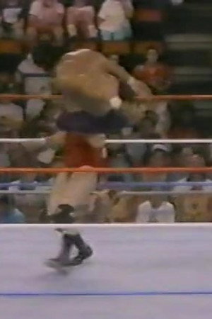 August 20, 1988 - Superstars of Wrestling 103
