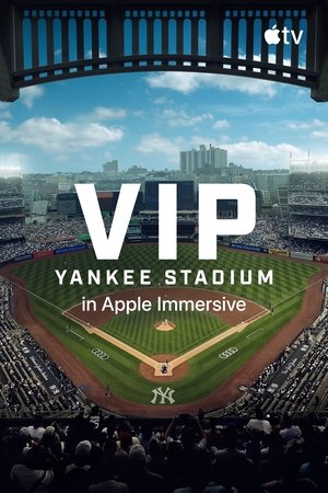 VIP: Yankee Stadium