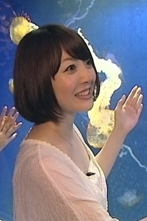 Tsukimi and Jiji's Jellyfish Tour