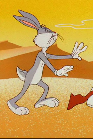 Sahara Hare