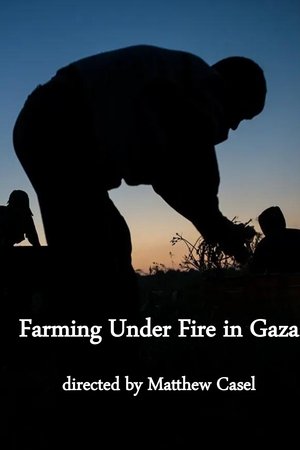 Farming Under Fire in Gaza
