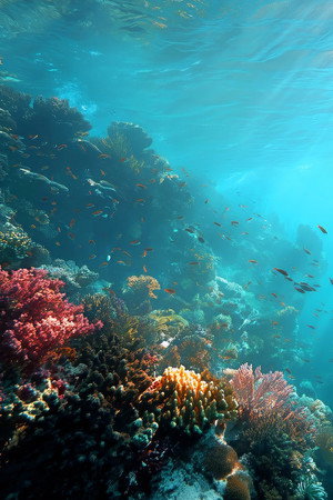 The South Seas - a world of water