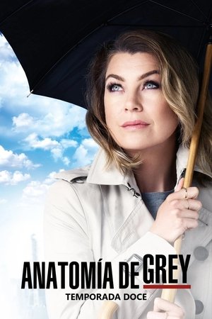 Temporada 12