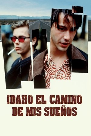 Idaho: El camino de mis sueños