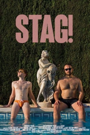 Stag!