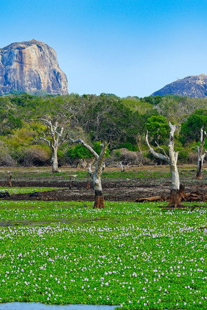 Yala National Park — An Eden in Sri Lanka