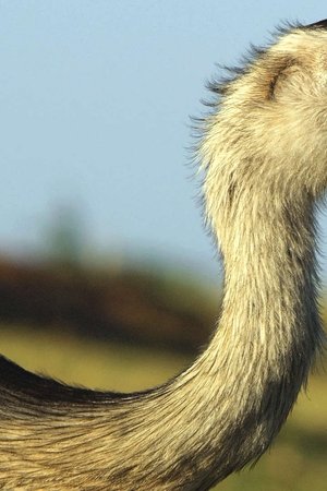 8. epizoda