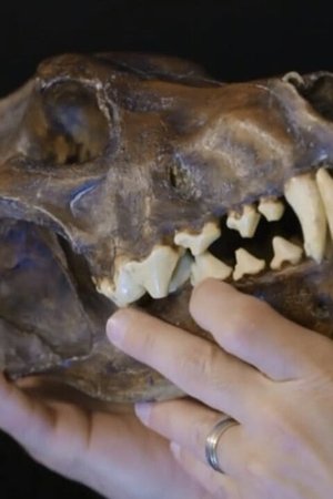 4. epizoda
