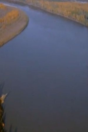 Footprints in the Delta