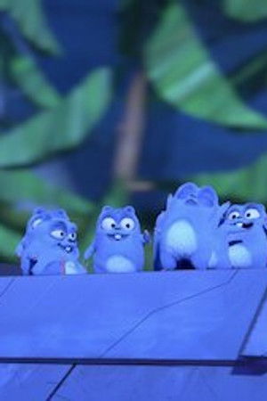 Táboření v divočině