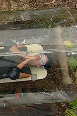 Celebrity in a Bottle