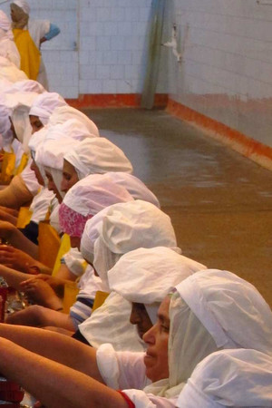 Sardines, Piaggio Scooters, Erector Sets