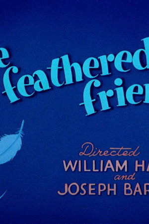 Fine Feathered Friend