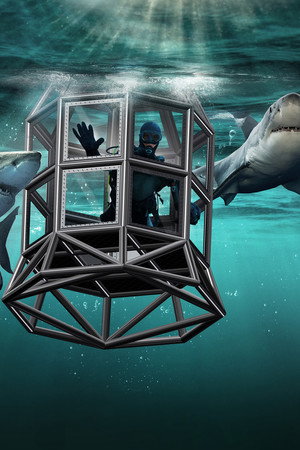 Shark House