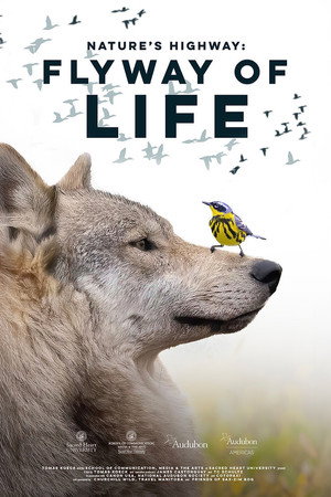 Flyway of Life