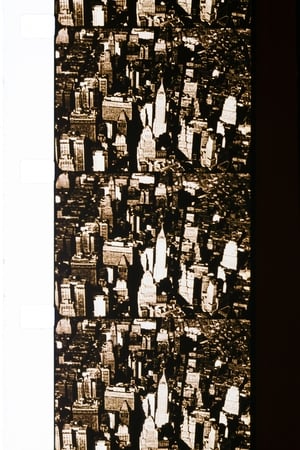 New York, Rome, Barcelona, Brussels