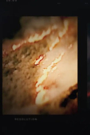 Escape: The Great California Fire