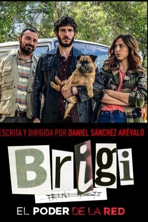 Brigi: El poder de la red