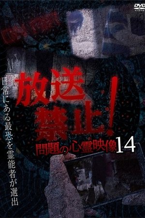 Broadcast Prohibited! Troubling Supernatural Footage 14
