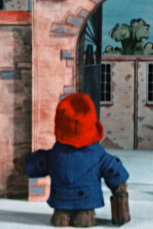 Paddington Goes to School