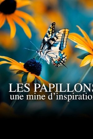 Les papillons, une mine d'inspiration