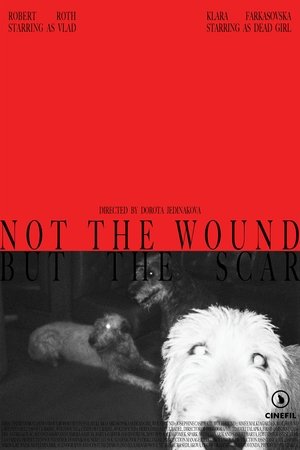 Not the Wound but the Scar