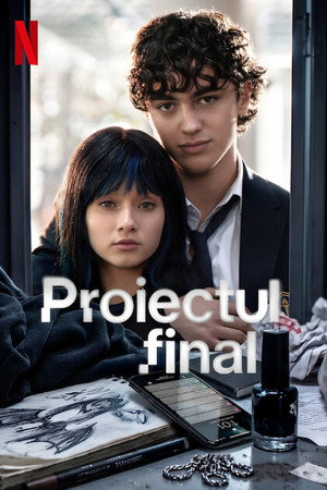 Proiectul final
