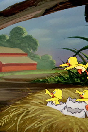Just Ducky
