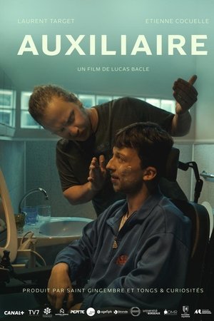 Auxiliaire