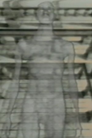 Viewers Of Optics
