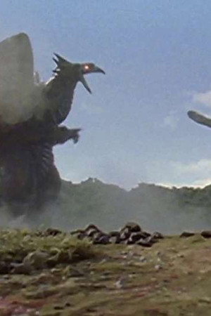 Forbidden Picture on the Ground